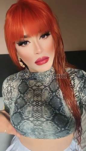 trans girl ArielXXL 4311405 trans girl ArielXXL 4311405