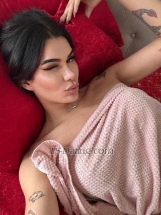 trans girl Ariellereis 1268863 trans girl Ariellereis 1268863
