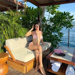 trans girl ArisaArisa 1875927 trans girl ArisaArisa 1875927