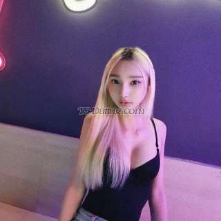 trans girl Arissexy 8970260 trans girl Arissexy 8970260