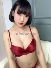 ArayaYabi Arraya1996 Arraya1996 Bangkok Transex Hi Im Araya from Thailand 🇹🇭 i have nice body and nice dick good service 100% 
My Service 💋
- Top&bottom
- French kiss
- Shower together 
- 69
- Deep throat
- Rimming
- Golden shower 
- SM (femdom play)
- Massage 💆 
If you want to meet me 🍆
Please Contact me 💋
WhatsApp : 🇩🇪 +49 177 9278195 
Telegram : 🇹🇭 +66 932216537 @miyayabi
Kakao : araya2539 
WeChat : miyabibabe34
Line : miya2288  https://line.me/ti/p/TngI9iB_WB
Good sure Happy sure 🥰❤️
