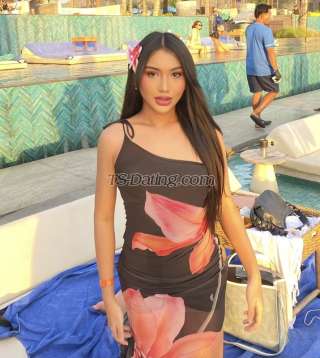 trans girl AshleyAnn 6660566 trans girl AshleyAnn 6660566