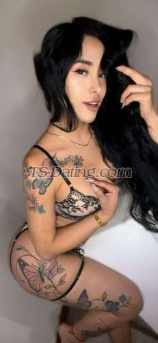 trans girl AshleyMendez 6823942 trans girl AshleyMendez 6823942