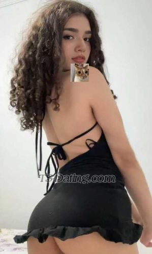 trans girl Ashleybakersf 8181557