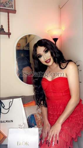 trans girl Ashleydoll 9622433 trans girl Ashleydoll 9622433