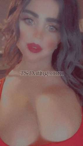 trans girl Assitadrus 4794914 trans girl Assitadrus 4794914