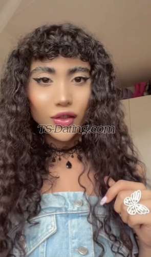 trans girl Atrina 0376346 trans girl Atrina 0376346
