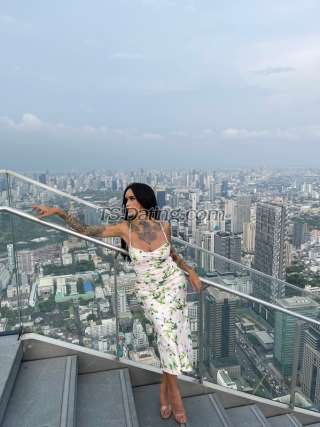 trans girl AmadoraFoxx 0295450