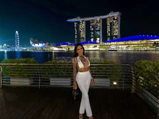 trans girl AmadoraFoxx 2416679