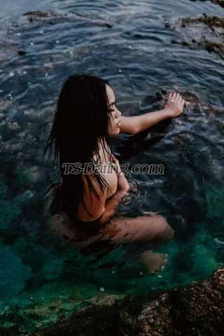 trans girl Ayugrande25 8664168 trans girl Ayugrande25 8664168