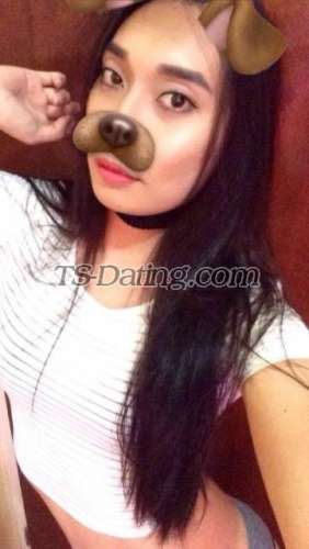 trans girl AznPrincess 5160250 trans girl AznPrincess 5160250