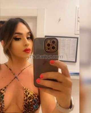 trans girl alessandran 2651460