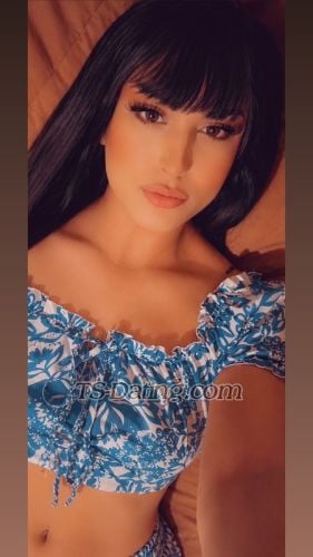 Shemale Escort - allma69 - Jordan