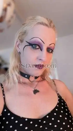 Shemale allycat 5664411 Shemale allycat 5664411