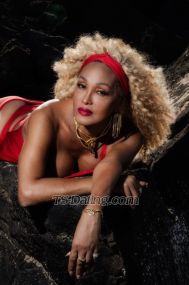 ambermilan Milan Transex VENEZUELANA PORNO QUEEN AMBER.!         Visit one of
the most beautiful and femele international Ts, with my new
long blonde afro look,i wait for  you  in luxury flat , but
hurry, because it is only for a short time in the
city.Convince yourself of her wonderful figure and her
pretty face.Amber s exclusive and taboos like their
movies.So do you not miss this unique opportunity
...Big kiss , Amber  I Speak 
Italian/Spanish/German and  English.High
Class service/ Available  for  International
travel.Travel schedule.            
             