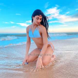 trans girl angelllcostaa 1291498 trans girl angelllcostaa 1291498