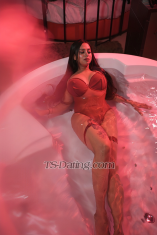 Shruti Roy angelrose angelrose Agartala Transex Delhi Top e Bottom icona in città con una soddisfazione straordinaria con una grande sorpresa tra le mie due gambe Adoro succhiare Adoro essere succhiato Adoro scopare Adoro essere scopato "Non aver paura della tentazione Fidati di me e potrai avere ciò che vuoi" non perdere l'occasione di incontrare delle vere, meravigliose, bellissime e seducenti trans. Sono un famoso Ts e uno dei transessuali più popolari a Nuova Delhi Sono alta 1,60 m, ho un seno molto, molto grande, una bella voce femminile, un viso con grandi occhi azzurri, lunghi capelli biondo platino e una pelle morbida come la seta. Se è la prima volta che ci vai, rilassati e non essere nervoso, perché mi prenderò cura di te perché sono molto paziente e gentile. Se hai esperienza, va benissimo! Offro anche tutti i tipi di feticismo, dal travestitismo alla dominazione. Posso essere la tua severa amante o regalarti un'esperienza da fidanzata piena di affetto, romanticismo e passione! Sono felice di prendere un cocktail con te, passare un'ora insieme, cenare e passare un'intera serata o notte insieme. La scelta è tua! Sono molto pulita, igienica e mi aspetto lo stesso da te. Si prega di notare che per fissare un appuntamento è necessario un preavviso di un'ora. Sono una escort professionista, NON una prostituta. Pertanto, le tariffe richieste o il denaro scambiato per servizi personali legali per adulti per la modellazione sono semplicemente per tempo e compagnia SOLO. Le tariffe applicate sono calcolate solo sul tempo impiegato. Mi riservo il diritto di rifiutare gli appuntamenti, se lo ritengo necessario. Contattandomi (tramite telefono o e-mail) accetti TUTTI questi termini e con la presente CERTIFICHI di non far parte di alcuna agenzia di polizia che utilizza questa pubblicità per intrappolare o arrestare. Questo è un contratto che accetti contattandomi. Ho una rappresentanza legale e conosco pienamente i miei diritti. Si prega di leggere le linee guida prima di contattarmi! Chiamando il mio numero, accetti quanto segue: