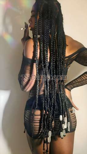 trans girl ashlicy 7736864 trans girl ashlicy 7736864