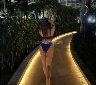 trans girl avahfox 6938959 trans girl avahfox 6938959