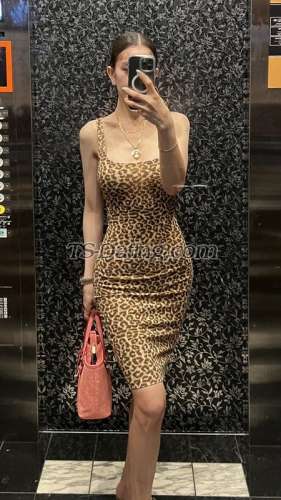 trans girl ayessa 2795093 trans girl ayessa 2795093