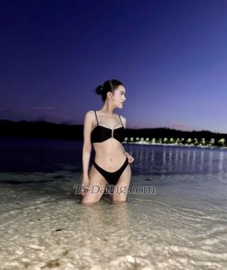 trans girl ayessa 9514298 trans girl ayessa 9514298