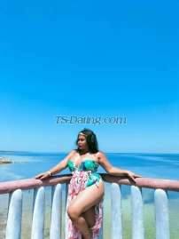 BBWGeorgiaTS Muscat Transex   Ho il mio nuovo numero ragazzi.. Philippine ts qui SE DEVO DESCRIVERMI IN 3 PAROLE... BBW TS che desiderate ;-D NON PERDERE L'OCCASIONE.. 100% COMPLETAMENTE FUNZIONANTE, MI COINVOLGE!!! Le uniche TS con seni naturali, sono ormonali...come puoi vedere in questo Sono una ragazza fetish molto dominante, BENVENUTI PRIMITORI!!!!! Cerchi nuove sensazioni?? nuove esperienze?? Allora ecco l'amante che hai sempre avuto nei tuoi sogni, o pensi di poter domare questa puledra selvaggia? È tempo di realizzare le tue fantasie... e diventerà dipendenza... con me, ovviamente!! Usa la mia password: B*** ..Se pensi che sia troppo pesante per te!! Mi trovo in centro città, la posizione migliore, in una zona molto tranquilla. E' ora di provarlo, non aspettare un minuto di più... Vieni con la tua dea... What'sapp +96871902089 Nuovo