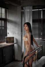 BDSM Bangkok BDSMBangkok BDSMBangkok Bangkok Transex Find the most beautiful Female Escorts at BDSM Bangkok. We offer a unique and comprehensive selection of escort services designed to cater to your every desire.