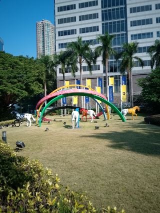 Masculin / BHongo79 / Irlande