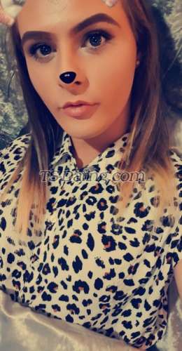 trans girl Babe1877 2302499 trans girl Babe1877 2302499