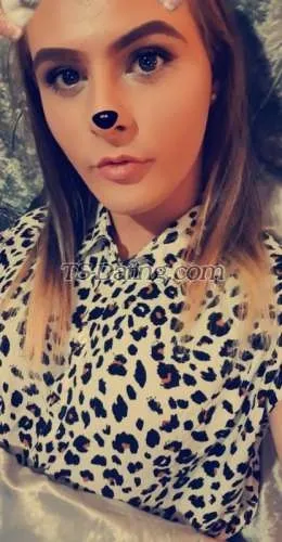Shemale Babe1877 2302499 Shemale Babe1877 2302499