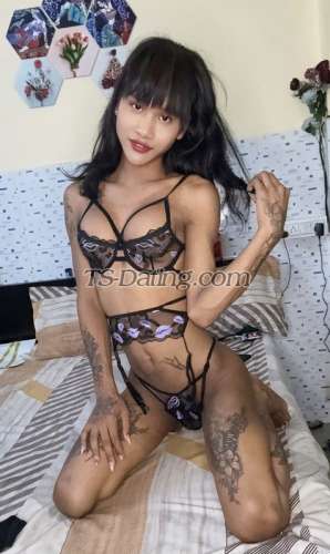 trans girl BabeMona 4642505 trans girl BabeMona 4642505