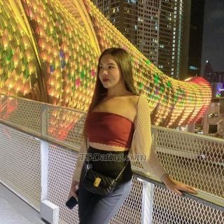 trans girl Babeyy 9626828