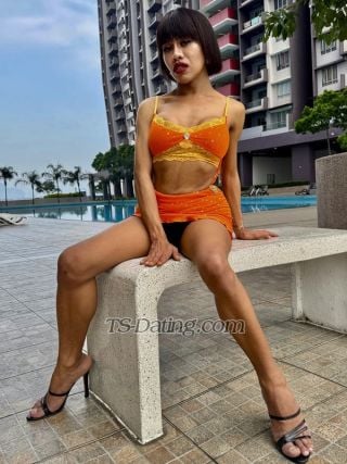 trans girl Babywawa 8556494 trans girl Babywawa 8556494