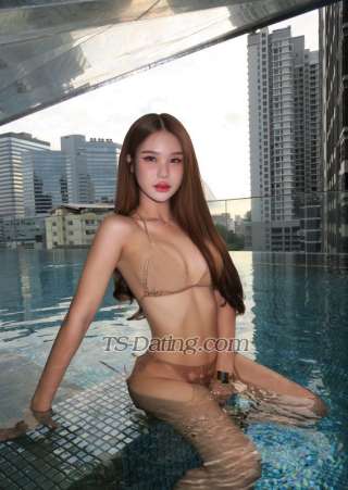 trans girl Bambie 2744662 trans girl Bambie 2744662