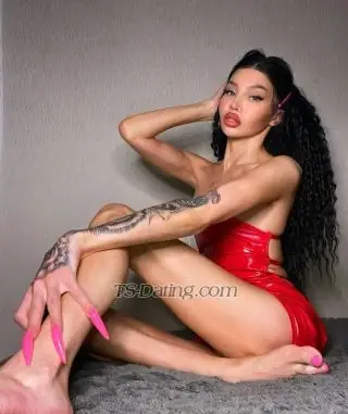 Shemale BarbieXS 8691220 Shemale BarbieXS 8691220