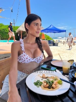 trans girl Barbiemexican 8514238