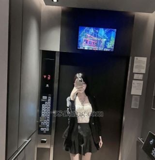 trans girl Beedxb97 7116366