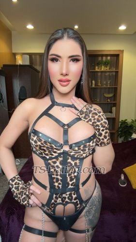 trans girl Bella22 6933727 trans girl Bella22 6933727