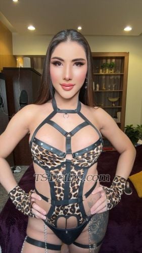 trans girl Bella22 6933742 trans girl Bella22 6933742