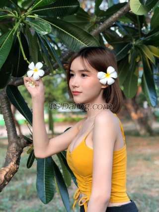 trans girl Bella424 3153061 trans girl Bella424 3153061