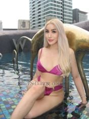 Bella45 Bangkok Transex Hi my name is Bella shemale with big cock hard cum 💦  big ass I like to be top but I can do everything top and bottom I'm nice people and I hope we have a good time together  I am punctual  i am clean and have a physical examination every 3 months.
Height: 172 cm
Weight: 65 kg
Chest: 39
Waist: 28
Hip: 40
shave and clean.💦

I do incall outcall hotel escort welcome to my world (I don't smoke I don't use drugs)

WhatsApp +66652236536
Line alisabellasmith
Wechat bellabella63
Twitter @AmGood31578256