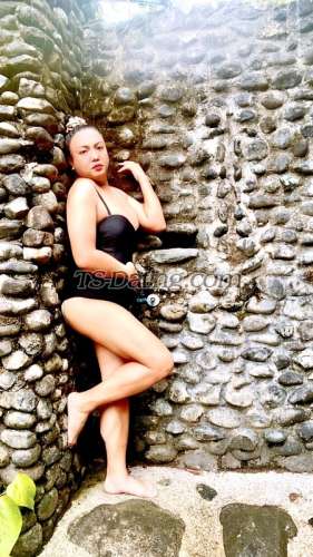 trans girl BellaGirl4u 3549374 trans girl BellaGirl4u 3549374