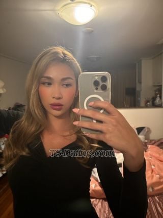 trans girl BellaHancock 3297415 trans girl BellaHancock 3297415