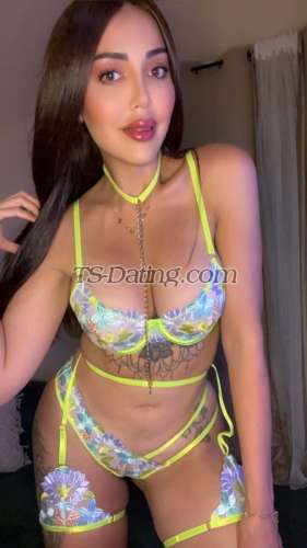 trans girl Bellaarab 5866832 trans girl Bellaarab 5866832