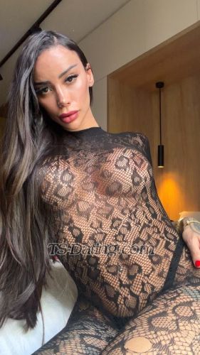 trans girl Bellaguimarae 8522376 trans girl Bellaguimarae 8522376