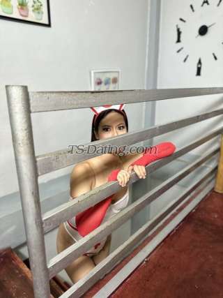 trans girl Bianca22 6233951