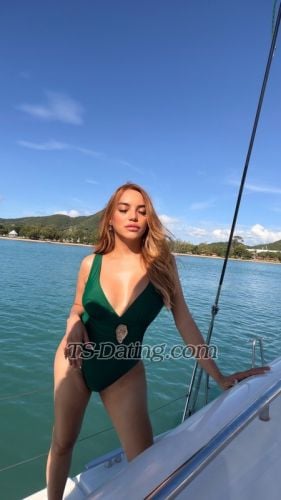 trans girl Bridgette31 7342337 trans girl Bridgette31 7342337