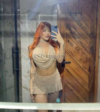 trans girl Brunasouza 3028768 trans girl Brunasouza 3028768