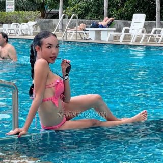 trans girl Bumbimkrk 4011231 trans girl Bumbimkrk 4011231