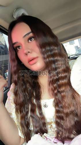 trans girl babyarissaa 2711543